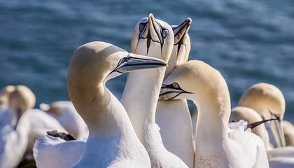 爱游戏体育（AYX）官方APP下载-虎扑体育系列专栏文章热议英超赛场变数，虎扑体育f1